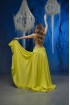 Professional bellydance costume (classic 415 a-available)